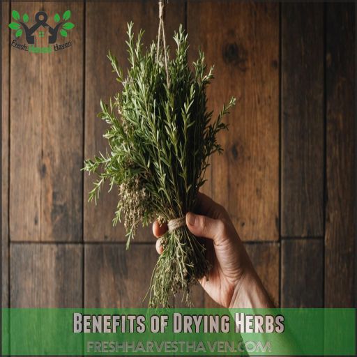 Benefits of Drying Herbs