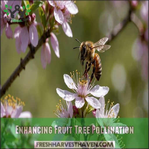 Enhancing Fruit Tree Pollination