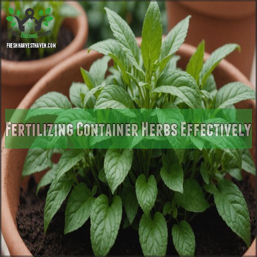 Fertilizing Container Herbs Effectively