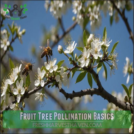 Fruit Tree Pollination Basics