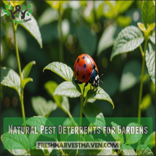 Natural Pest Deterrents for Gardens