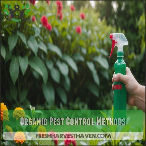 Organic Pest Control Methods