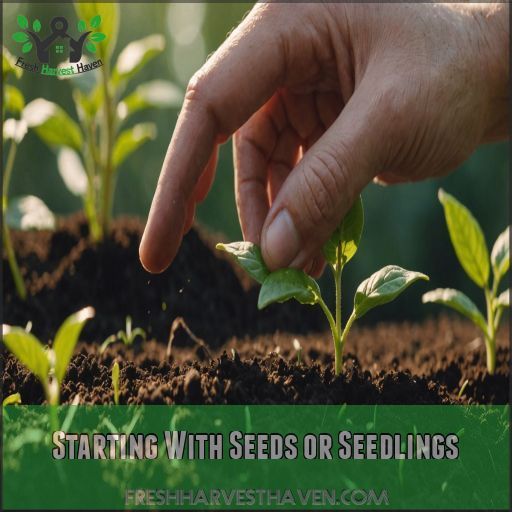 Starting With Seeds or Seedlings