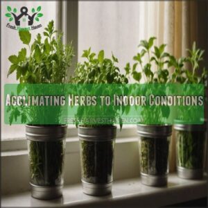 Acclimating Herbs to Indoor Conditions