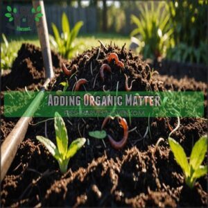 Adding Organic Matter