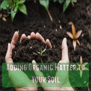 Adding Organic Matter to Your Soil