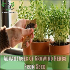 Advantages of Growing Herbs From Seed