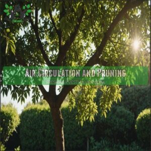 Air Circulation and Pruning