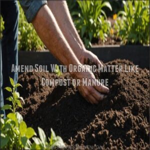 Amend Soil With Organic Matter Like Compost or Manure