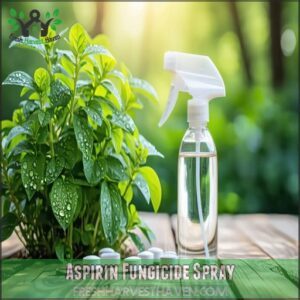 Aspirin Fungicide Spray