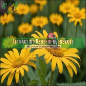 Attracting Beneficial Insects