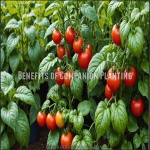 Benefits of Companion Planting