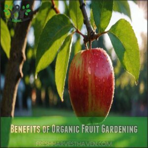 Benefits of Organic Fruit Gardening