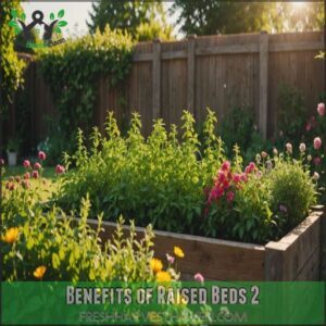 Benefits of Raised Beds 2