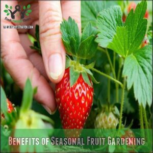 Benefits of Seasonal Fruit Gardening