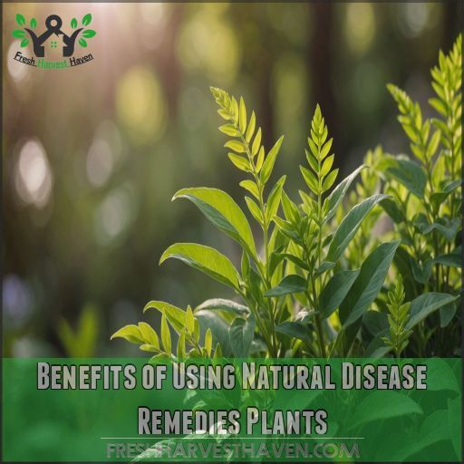 Benefits of Using Natural Disease Remedies Plants