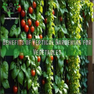 Benefits of Vertical Gardening for Vegetables