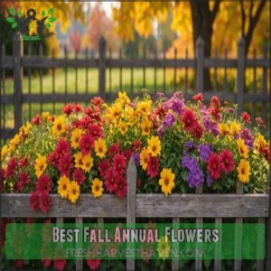 Best Fall Annual Flowers