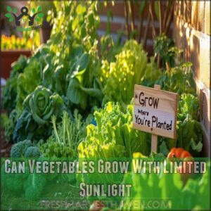 Can Vegetables Grow With Limited Sunlight