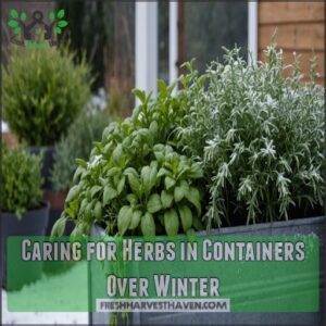 Caring for Herbs in Containers Over Winter