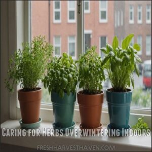 Caring for Herbs Overwintering Indoors