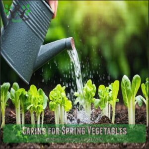 Caring for Spring Vegetables