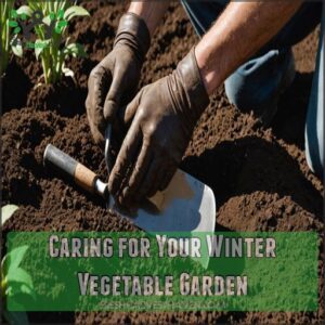 Caring for Your Winter Vegetable Garden