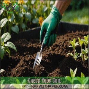 Check Your Soil