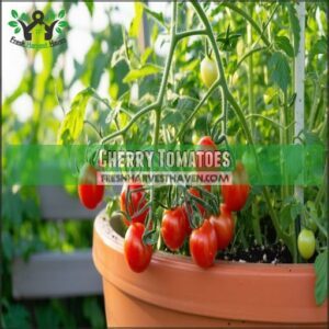 Cherry Tomatoes