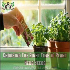 Choosing The Right Time to Plant Herb Seeds