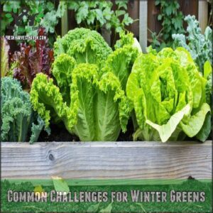 Common Challenges for Winter Greens