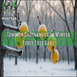 Common Challenges in Winter Fruit Tree Care