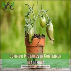 Common Mistakes in Container Gardening