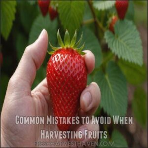 Common Mistakes to Avoid When Harvesting Fruits