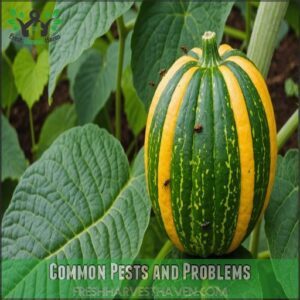 Common Pests and Problems