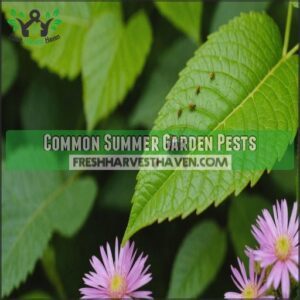 Common Summer Garden Pests