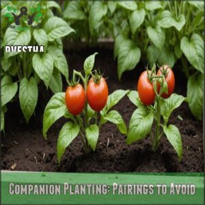 Companion Planting: Pairings to Avoid