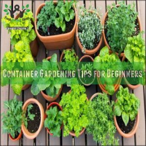 Container Gardening Tips for Beginners