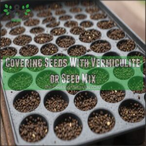 Covering Seeds With Vermiculite or Seed Mix