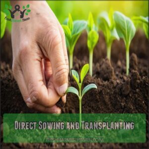 Direct Sowing and Transplanting