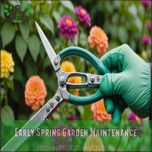 Early Spring Garden Maintenance