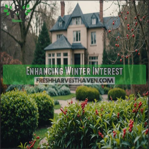 Enhancing Winter Interest