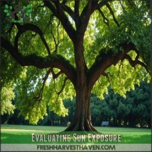 Evaluating Sun Exposure