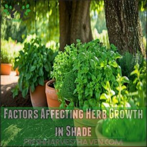 Factors Affecting Herb Growth in Shade