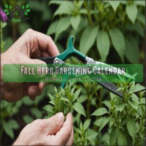 Fall Herb Gardening Calendar