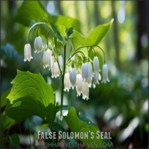 False Solomon’s Seal