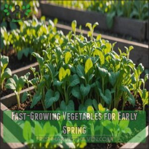 Fast-Growing Vegetables for Early Spring