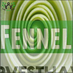 Fennel