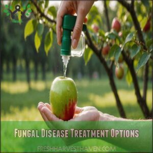 Fungal Disease Treatment Options