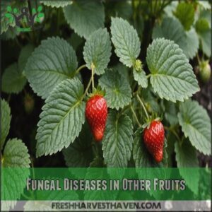 Fungal Diseases in Other Fruits